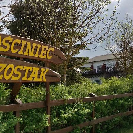 Willa Gościniec Szóstak Czarnowka Zewnętrze zdjęcie